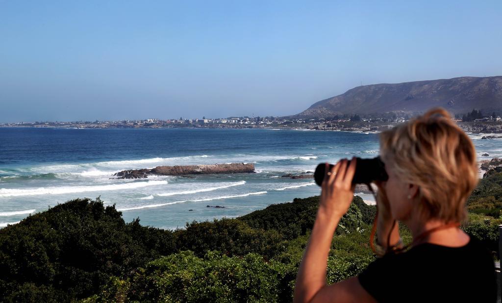 Hermanus Beach Villa Buitenkant foto