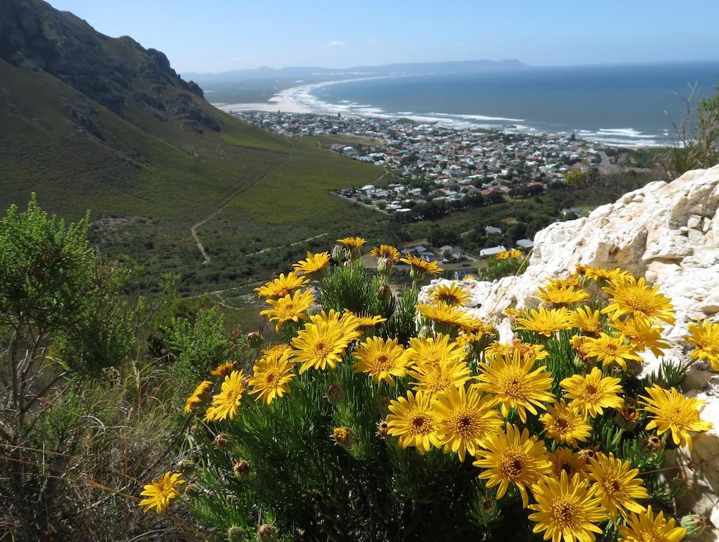 Hermanus Beach Villa Buitenkant foto