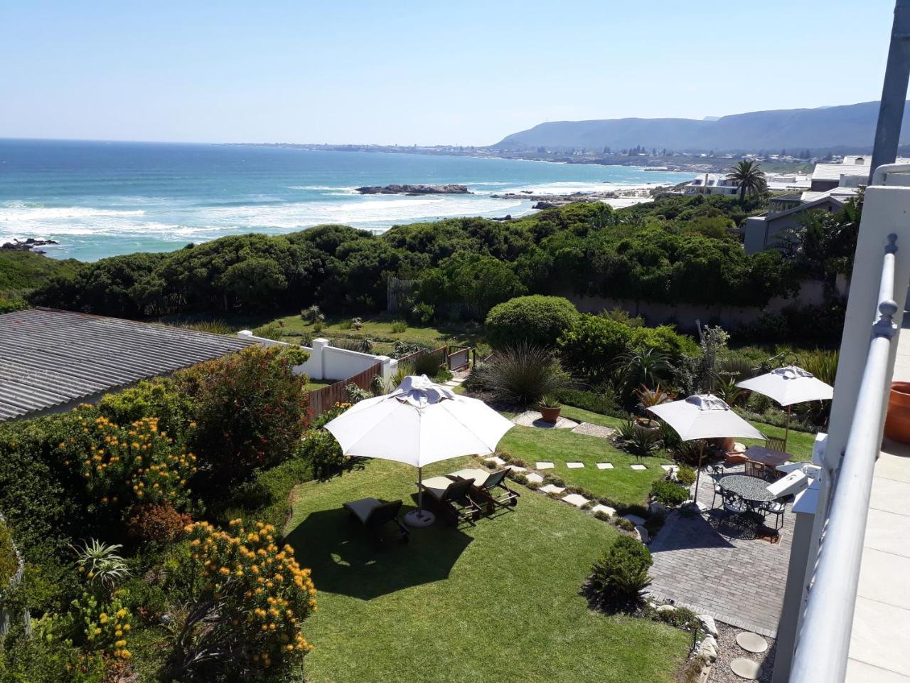 Hermanus Beach Villa Buitenkant foto